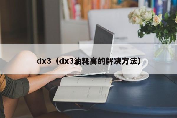 dx3（dx3油耗高的解决方法）