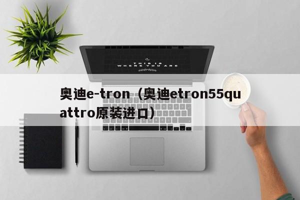 奥迪e-tron（奥迪etron55quattro原装进口）