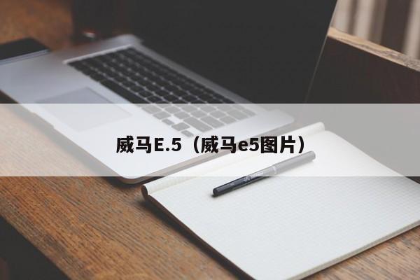 威马E.5（威马e5图片）