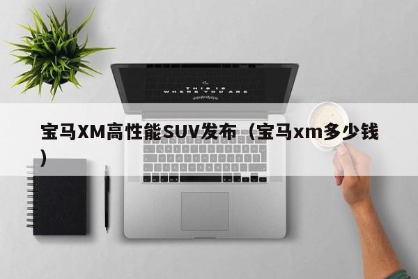 宝马XM高性能SUV发布（宝马xm多少钱）