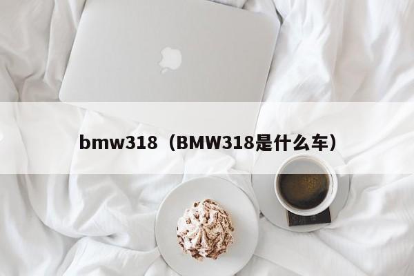 bmw318（BMW318是什么车）