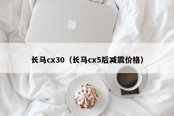 长马cx30（长马cx5后减震价格）