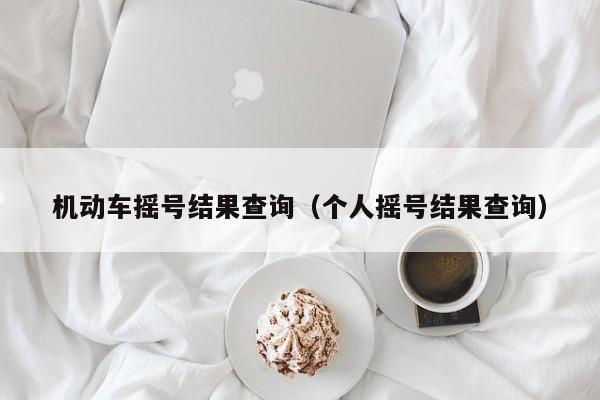 机动车摇号结果查询（个人摇号结果查询）