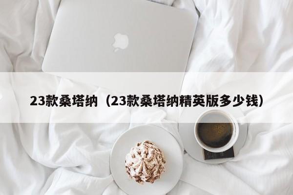 23款桑塔纳（23款桑塔纳精英版多少钱）