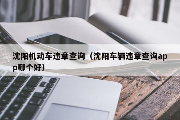 沈阳机动车违章查询（沈阳车辆违章查询app哪个好）