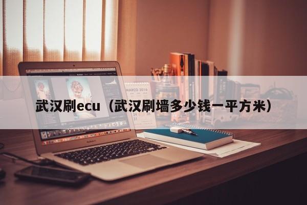 武汉刷ecu（武汉刷墙多少钱一平方米）