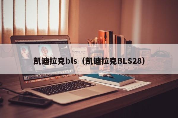 凯迪拉克bls（凯迪拉克BLS28）