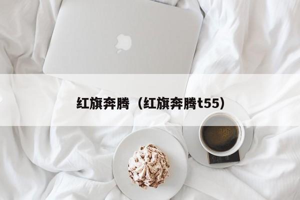 红旗奔腾（红旗奔腾t55）