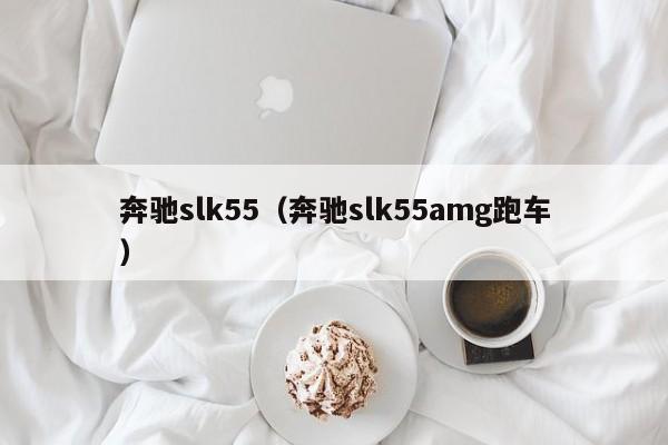 奔驰slk55（奔驰slk55amg跑车）