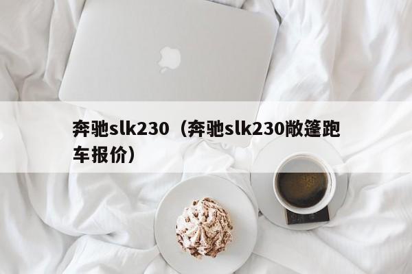 奔驰slk230（奔驰slk230敞篷跑车报价）