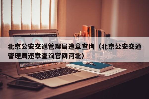 北京公安交通管理局违章查询（北京公安交通管理局违章查询官网河北）