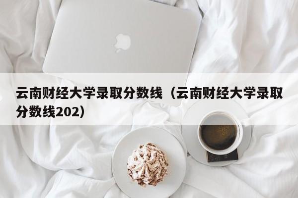 云南财经大学录取分数线（云南财经大学录取分数线202）