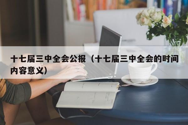 十七届三中全会公报（十七届三中全会的时间内容意义）