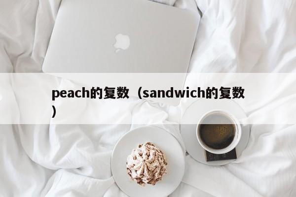 peach的复数（sandwich的复数）