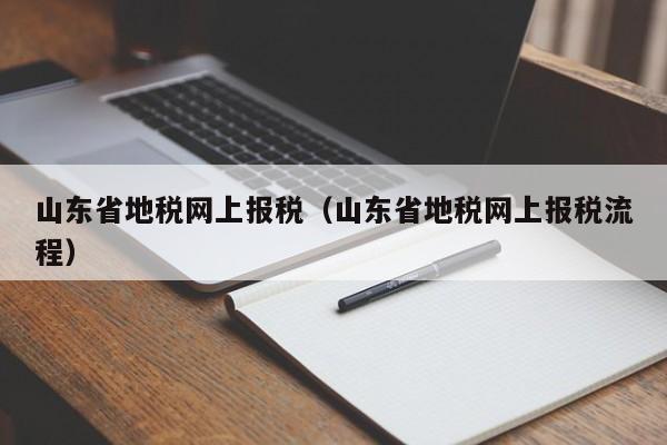 山东省地税网上报税（山东省地税网上报税流程）