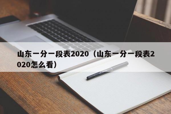 山东一分一段表2020（山东一分一段表2020怎么看）