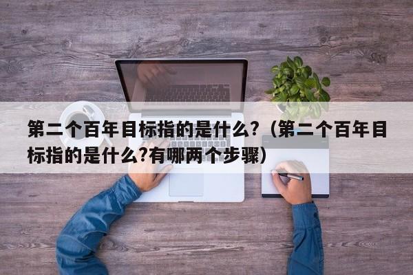 第二个百年目标指的是什么?（第二个百年目标指的是什么?有哪两个步骤）