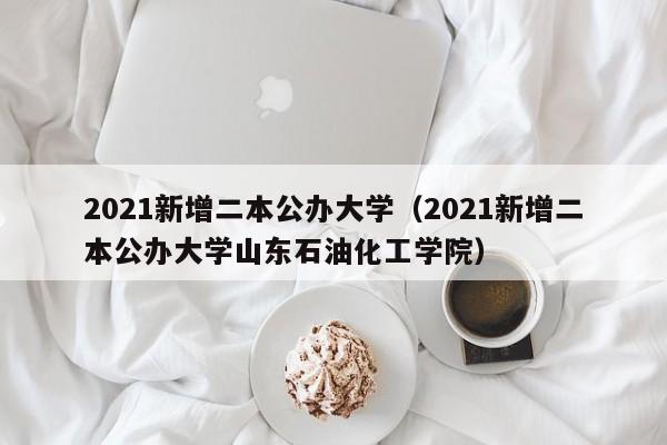 2021新增二本公办大学（2021新增二本公办大学山东石油化工学院）