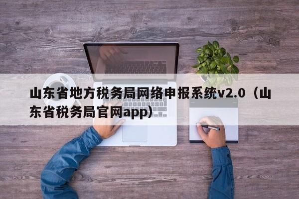 山东省地方税务局网络申报系统v2.0（山东省税务局官网app）