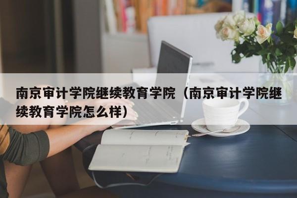 南京审计学院继续教育学院（南京审计学院继续教育学院怎么样）