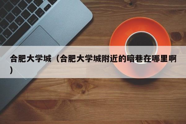 合肥大学城（合肥大学城附近的暗巷在哪里啊）