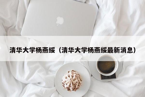 清华大学杨燕绥（清华大学杨燕绥最新消息）