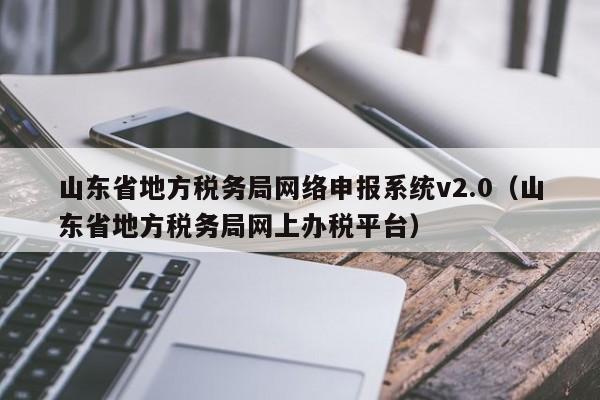 山东省地方税务局网络申报系统v2.0（山东省地方税务局网上办税平台）