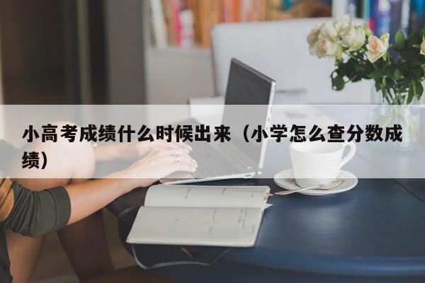 小高考成绩什么时候出来（小学怎么查分数成绩）