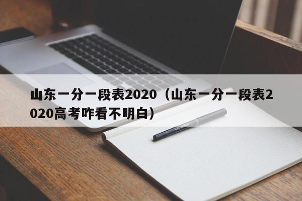 山东一分一段表2020（山东一分一段表2020高考咋看不明白）