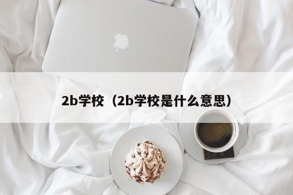 2b学校（2b学校是什么意思）