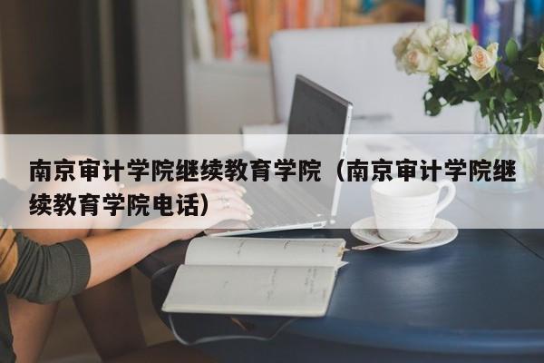 南京审计学院继续教育学院（南京审计学院继续教育学院电话）