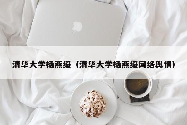 清华大学杨燕绥（清华大学杨燕绥网络舆情）