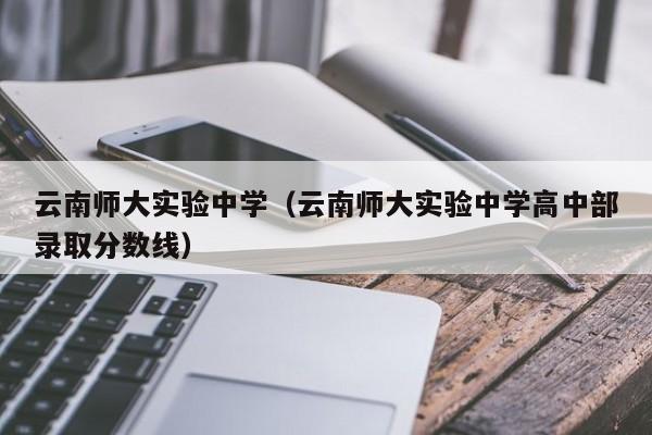 云南师大实验中学（云南师大实验中学高中部录取分数线）