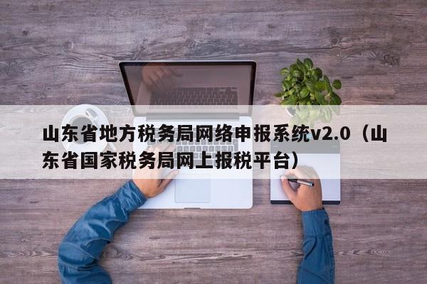 山东省地方税务局网络申报系统v2.0（山东省国家税务局网上报税平台）