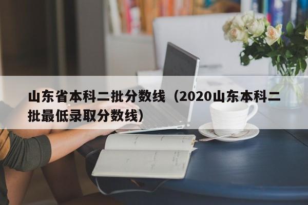 山东省本科二批分数线（2020山东本科二批最低录取分数线）